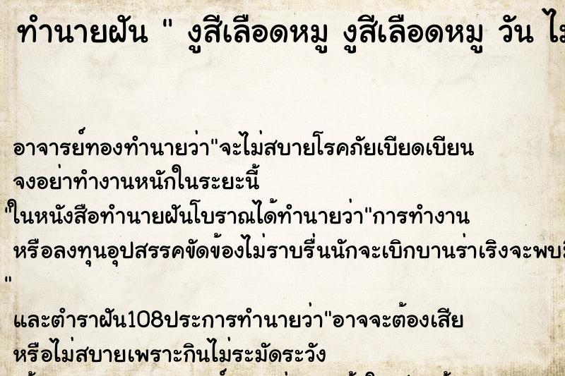 ทำนายฝันงูสีเลือดหมูงูสีเลือดหมูวันไม่รู้ ทำนายฝันทำนายฝันงูสีเลือดหมูงูสีเลือดหมูวันไม่รู้
